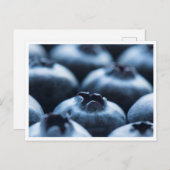 Carte postale - Blueberries (Devant / Derrière)