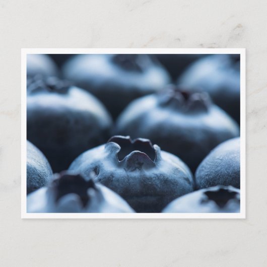 Carte postale - Blueberries (Devant)