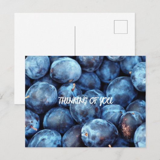 CARTE POSTALE BLUEBERRIES (Devant / Derrière)