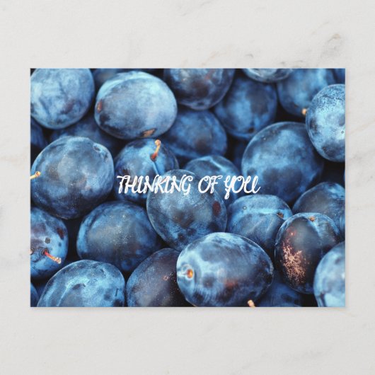 CARTE POSTALE BLUEBERRIES (Devant)
