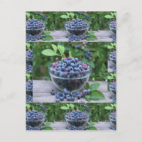 Blueberries Chefs cuisine saine Petit déjeuner Sal