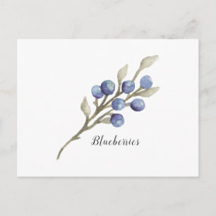 Carte Postale Blueberries sur la Branche