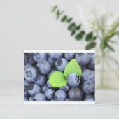 CARTE POSTALE BLUEBERRY (Debout devant)