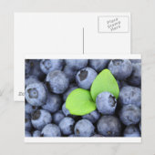 CARTE POSTALE BLUEBERRY (Devant / Derrière)