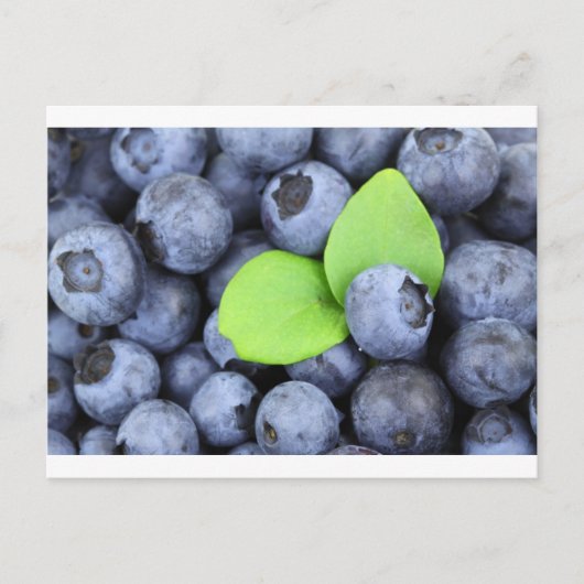 CARTE POSTALE BLUEBERRY (Devant)