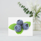 Carte Postale Blueberry (Debout devant)