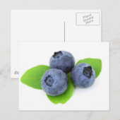 Carte Postale Blueberry (Devant / Derrière)