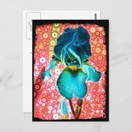 Carte postale Blueberry Iris (Devant / Derrière)