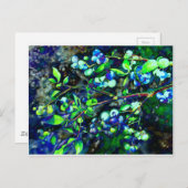 Carte Postale Blueberry - teinte verte (Devant / Derrière)