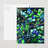 Carte Postale Blueberry - teinte verte (Devant / Derrière)