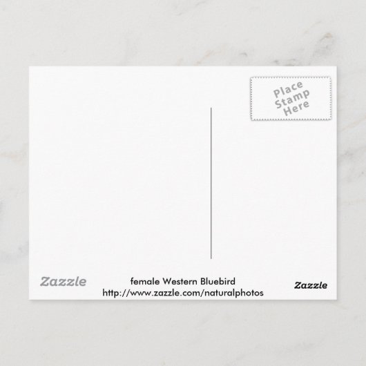 Carte Postale Bluebird (Dos)