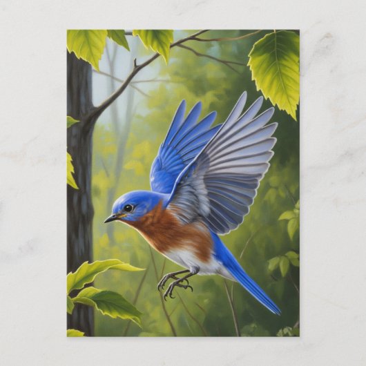 Carte Postale Bluebird (Devant)