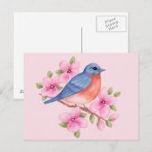 Carte postale Bluebird (Devant / Derrière)