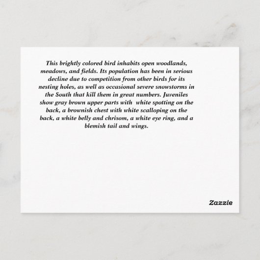 Carte Postale Bluebird (Dos)