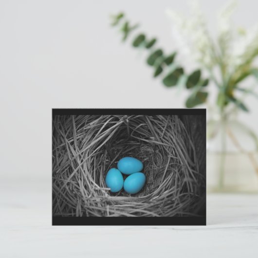 Carte Postale Bluebird (Debout devant)