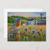 Carte Postale Bluebird Cornflowers Summer Farm Waterart (Devant / Derrière)