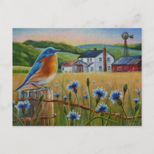 Carte Postale Bluebird Cornflowers Summer Farm Waterart