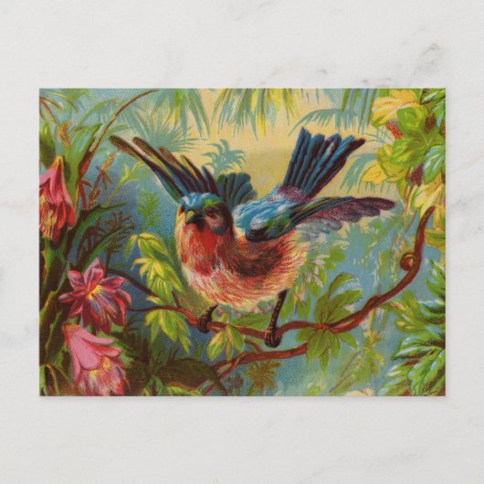 Carte postale Bluebird été (Devant)