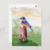 Carte postale Bluebird Song (Devant / Derrière)