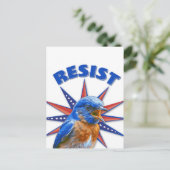 Carte postale Bluebirds (Debout devant)