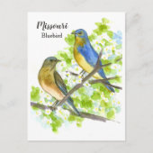 Carte Postale Bluebirds Hawthorn Tree Missouri State Bird (Devant)