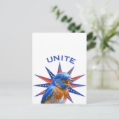 Carte postale Bluebirds UNITE (Debout devant)