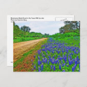 Carte Postale Bluebonnet Back Road (Devant / Derrière)