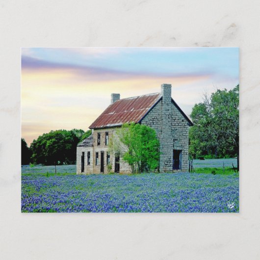 Carte Postale Bluebonnet House, Marble Falls, TX (Devant)