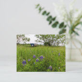 Carte Postale Bluebonnet Park, Ennis, Texas (Debout devant)