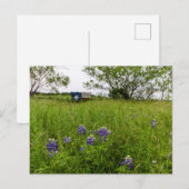 Carte Postale Bluebonnet Park, Ennis, Texas (Devant / Derrière)