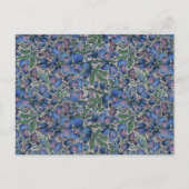 Carte Postale Bluebonnet Postcard (Devant)