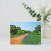 Carte Postale Bluebonnet Road, Willow City Loop, TX (Debout devant)