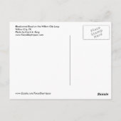 Carte Postale Bluebonnet Road, Willow City Loop, TX (Dos)