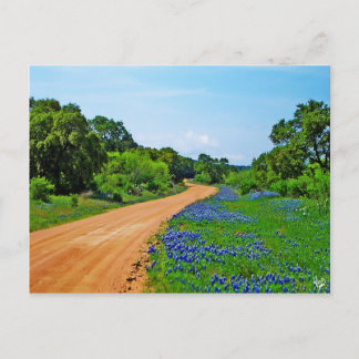 Carte Postale Bluebonnet Road, Willow City Loop, TX