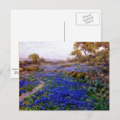 Carte Postale Bluebonnets à Twilight, au nord de San Antonio (Devant / Derrière)