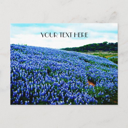 Carte Postale Bluebonnets Blue Flowers Texas texan Floral (Devant)
