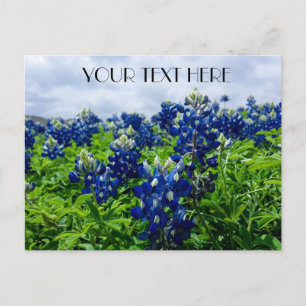 Carte Postale Bluebonnets Blue Flowers Texas texan Floral