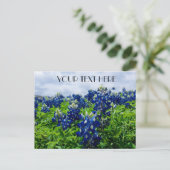 Carte Postale Bluebonnets Blue Flowers Texas texan Floral (Debout devant)