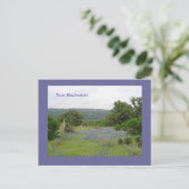 Carte Postale Bluebonnets dans le Texas (Debout devant)