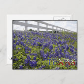Carte Postale Bluebonnets du Texas (Devant / Derrière)