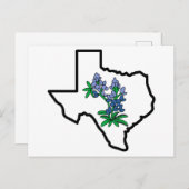Carte Postale Bluebonnets du Texas (Devant / Derrière)