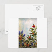 Carte Postale Bluebonnets et Canna Lilies (Devant / Derrière)