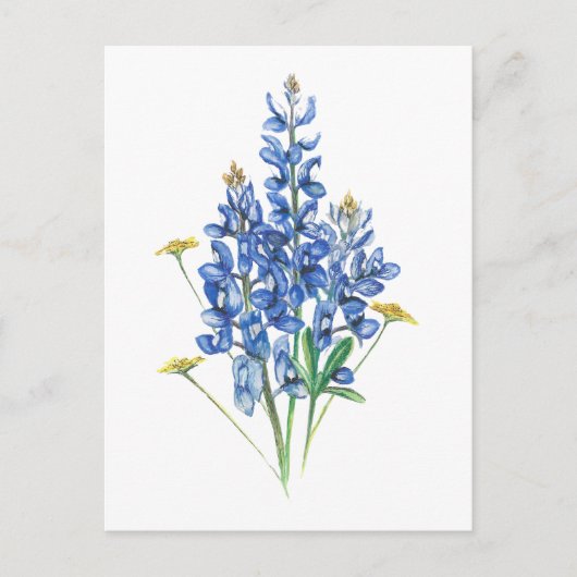 Carte Postale Bluebonnets et Fleurs sauvages (Devant)