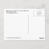 Carte Postale Bluebonnets et Longhorns, Texas Hill Country (Dos)