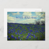 Carte Postale Bluebonnets Fleurs Bleues Texas Texan Floral (Devant / Derrière)