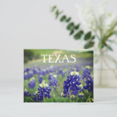 Carte Postale Bluebonnets Fleurs Bleues Texas Texan Floral (Debout devant)