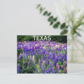 Carte Postale Bluebonnets Fleurs Bleues Texas Texan Floral (Debout devant)