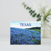 Carte Postale Bluebonnets Fleurs Bleues Texas Texan Floral (Debout devant)
