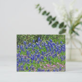 Carte Postale Bluebonnets sur Yeager Creek Rd, Johnson City, TX (Debout devant)