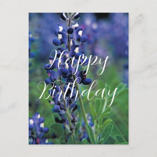 Carte Postale Bluebonnets Texas State Flower Blue Anniversaire (Devant)